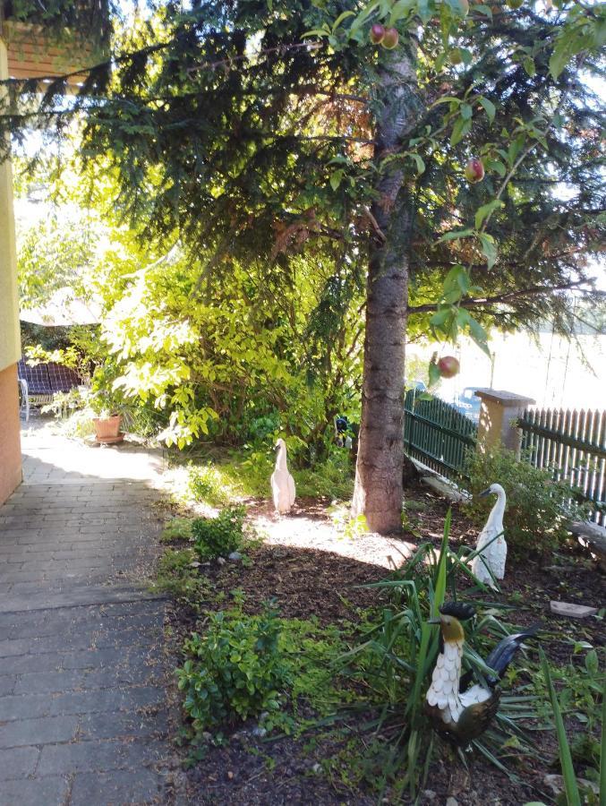 B&B Family Basement Apartment, Breakfast, Free Parking, 5Km From Tulln Chorherrn Exterior foto